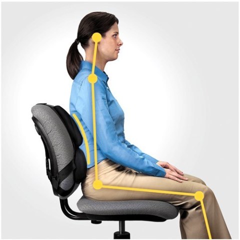 Fellowes Ergonomia podpórka poduszka profesjonalna pod plecy Fellowes Ergonomia podpórka poduszka profesjonalna pod plecy