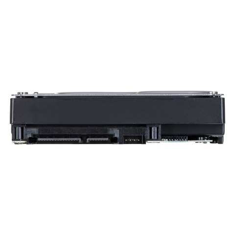 Synology HDD Plus Series (8TB; 3.5"; SATA) HAT3310-8T