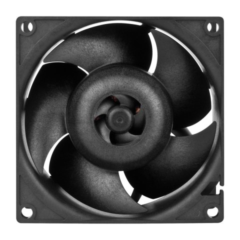 ARCTIC S8038-10K Procesor Wentylator 8 cm Czarny 4 szt. ARCTIC S8038-10K Procesor Wentylator 8 cm Czarny 4 szt.