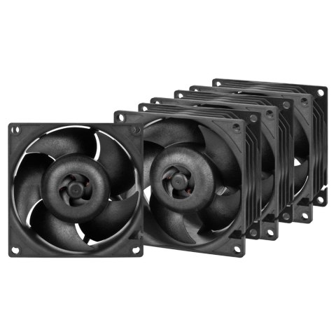 ARCTIC S8038-10K Procesor Wentylator 8 cm Czarny 4 szt. ARCTIC S8038-10K Procesor Wentylator 8 cm Czarny 4 szt.