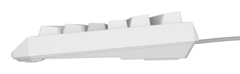 GENESIS Thor 230 TKL klawiatura Gaming USB + RF Wireless + Bluetooth QWERTY US English Biały GENESIS Thor 230 TKL klawiatura Gaming USB + RF Wireless + Bluetooth QWERTY US English Biały