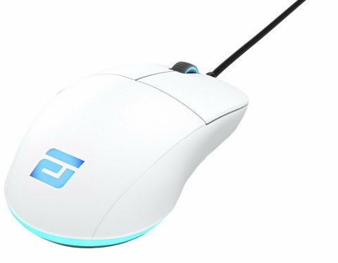 Endgame Gear XM1 RGB myszka Gaming Po prawej stronie USB Typu-A Optyczny 16000 DPI Endgame Gear XM1 RGB myszka Gaming Po prawej stronie USB Typu-A Optyczny 16000 DPI