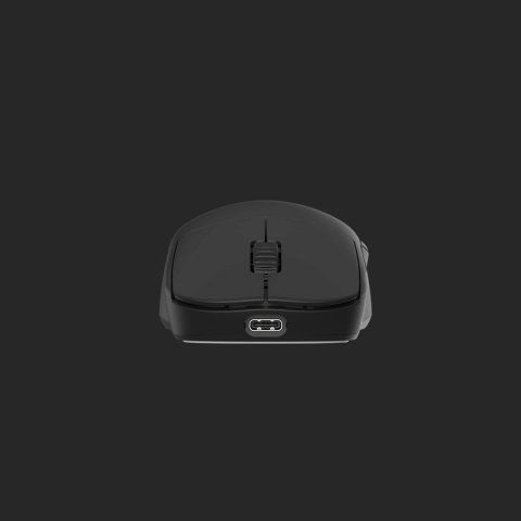 Endgame Gear OP1we myszka Gaming Po prawej stronie USB Typu-A Optyczny 19000 DPI Endgame Gear OP1we myszka Gaming Po prawej stronie USB Typu-A Optyczny 19000 DPI