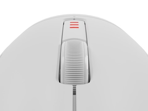 GENESIS Zircon 500 myszka Gaming Po prawej stronie RF Wireless + Bluetooth + USB Type-C Optyczny 10000 DPI GENESIS Zircon 500 myszka Gaming Po prawej stronie RF Wireless + Bluetooth + USB Type-C Optyczny 10000 DPI