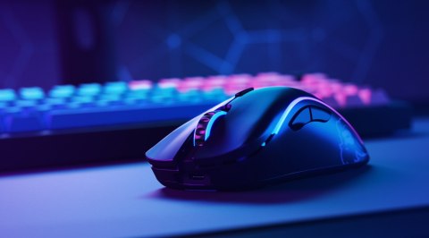 Glorious PC Gaming Race GLO-MS-DW-MB myszka Po prawej stronie RF Wireless 19000 DPI Glorious PC Gaming Race GLO-MS-DW-MB myszka Po prawej stronie RF Wireless 19000 DPI