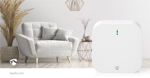 Bramka Nedis Zigbee WIFIZBT10CWT Bramka Nedis Zigbee WIFIZBT10CWT