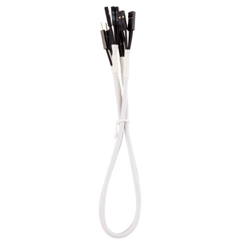 Wewnętrzny kabel zasilający Corsair CC-8900245 0,3 m