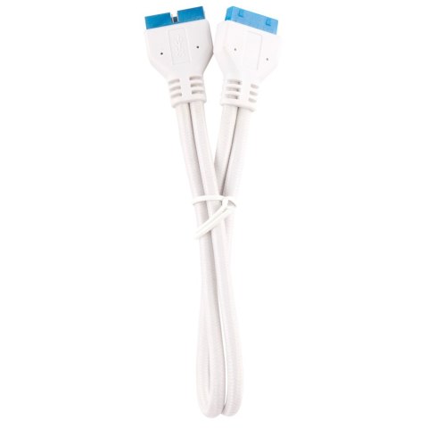 Wewnętrzny kabel zasilający Corsair CC-8900245 0,3 m
