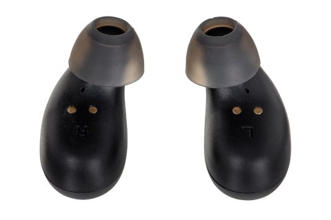 Behringer LIVE BUDS - Słuchawki douszne bezprzewodowe Behringer LIVE BUDS - Słuchawki douszne bezprzewodowe