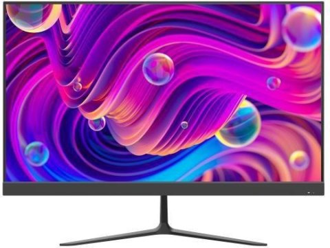 Monitor Hikvision DS-D5022F2-1V2S FHD 100Hz VA z głośnikami Monitor Hikvision DS-D5022F2-1V2S FHD 100Hz VA z głośnikami