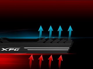 XPG GAMMIX D10 moduł pamięci 16 GB 1 x 16 GB DDR4 3600 MHz
