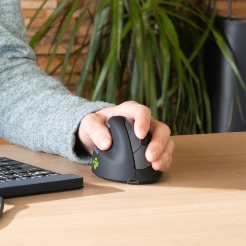R-Go Pele HE ergonomiczna myszka lewa Bluetooth sidabrina R-Go Pele HE ergonomiczna myszka lewa Bluetooth sidabrina