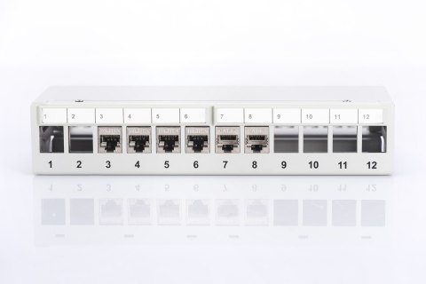 Panel krosowy modularny desktop 12x keystone, ekranowany, szary, prowadnica kabli, pola opisowe Panel krosowy modularny desktop 12x keystone, ekranowany, szary, prowadnica kabli, pola opisowe
