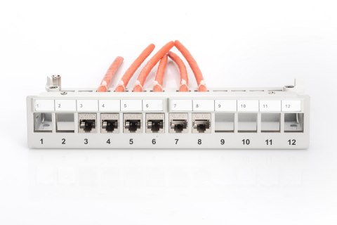 Panel krosowy modularny desktop 12x keystone, ekranowany, szary, prowadnica kabli, pola opisowe Panel krosowy modularny desktop 12x keystone, ekranowany, szary, prowadnica kabli, pola opisowe