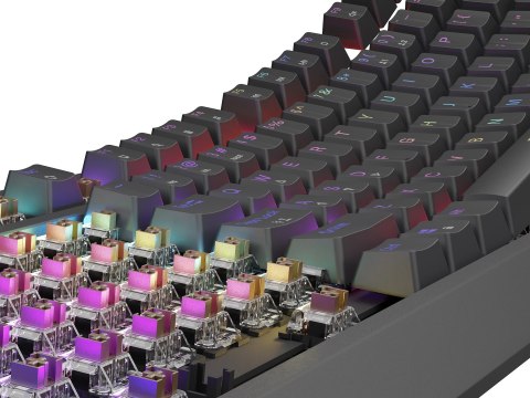 GENESIS Thor 230 TKL klawiatura Gaming USB QWERTY US English Czarny GENESIS Thor 230 TKL klawiatura Gaming USB QWERTY US English Czarny