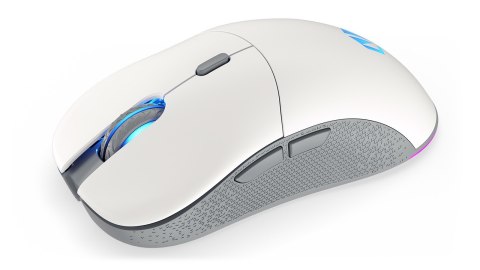 ENDORFY GEM Plus Wireless Onyx White myszka Oburęczny RF Wireless + USB Type-C Optyczny 26000 DPI ENDORFY GEM Plus Wireless Onyx White myszka Oburęczny RF Wireless + USB Type-C Optyczny 26000 DPI