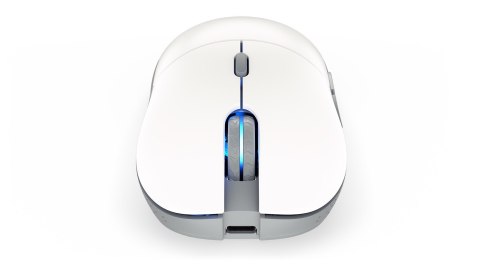 ENDORFY GEM Plus Wireless Onyx White myszka Oburęczny RF Wireless + USB Type-C Optyczny 26000 DPI ENDORFY GEM Plus Wireless Onyx White myszka Oburęczny RF Wireless + USB Type-C Optyczny 26000 DPI