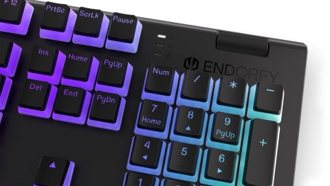 KLAWIATURA GAMINGOWA ENDORFY OMNIS PUD KAILH RD RGB KLAWIATURA GAMINGOWA ENDORFY OMNIS PUD KAILH RD RGB