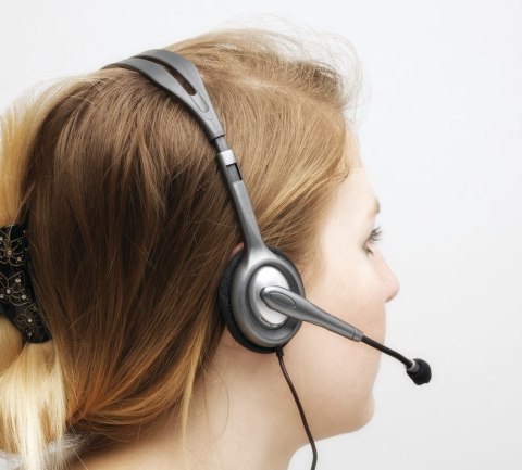 Logitech H111 Zestaw słuchawkowy Przewodowa Opaska na głowę Biuro/centrum telefoniczne Szary Logitech H111 Zestaw słuchawkowy Przewodowa Opaska na głowę Biuro/centrum telefoniczne Szary