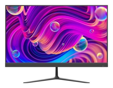 Monitor DS-D5024F2-BV2S Monitor DS-D5024F2-BV2S