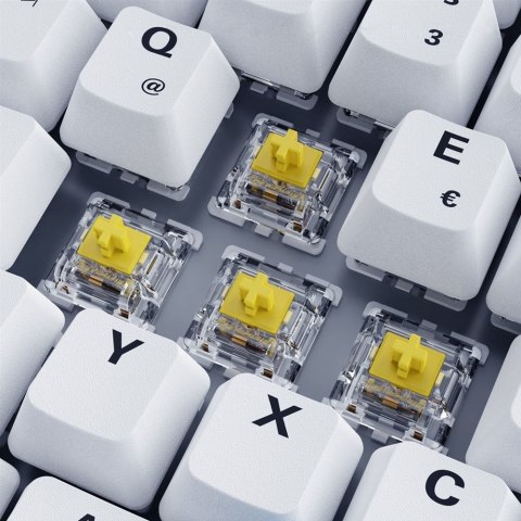 SKILLER SGK50 S3 PBT WHITE/HOT-SWAP/75 LAYOUT/SPIRALCAB