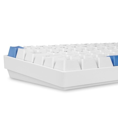 SKILLER SGK50 S3 PBT WHITE/HOT-SWAP/75 LAYOUT/SPIRALCAB