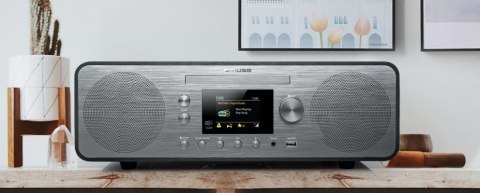 Muse M-885 DBT 80 W DAB, FM Czarny Odtwarzacz mp3 Muse M-885 DBT 80 W DAB, FM Czarny Odtwarzacz mp3