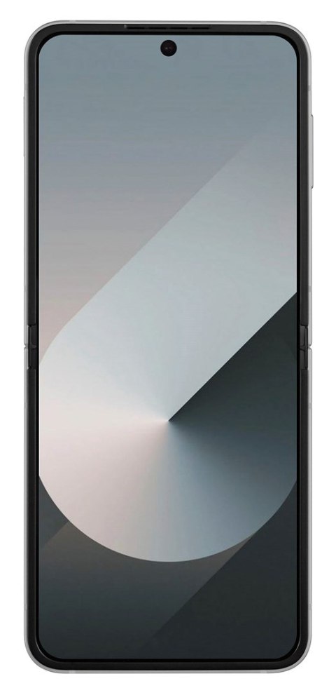 Samsung Galaxy Z Flip 6 (F741B) DS 5G 12/256GB Silver Shadow