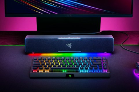 Razer Leviathan V2 X Czarny 65 W Razer Leviathan V2 X Czarny 65 W