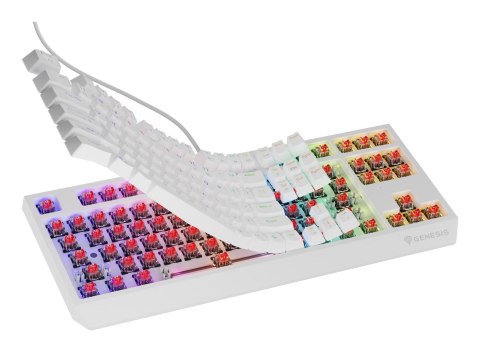 KLAWIATURA DLA GRACZY GENESIS THOR 230 TKL US RGB MECHANICZNA OUTEMU RED BIAŁA HOT SWAP KLAWIATURA DLA GRACZY GENESIS THOR 230 TKL US RGB MECHANICZNA OUTEMU RED BIAŁA HOT SWAP