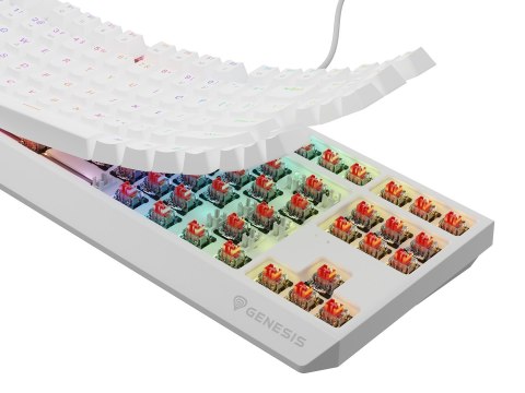 KLAWIATURA DLA GRACZY GENESIS THOR 230 TKL US RGB MECHANICZNA OUTEMU RED BIAŁA HOT SWAP KLAWIATURA DLA GRACZY GENESIS THOR 230 TKL US RGB MECHANICZNA OUTEMU RED BIAŁA HOT SWAP