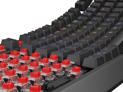 KLAWIATURA DLA GRACZY GENESIS THOR 230 TKL US RGB MECHANICZNA OUTEMU RED CZARNA HOT SWAP KLAWIATURA DLA GRACZY GENESIS THOR 230 TKL US RGB MECHANICZNA OUTEMU RED CZARNA HOT SWAP