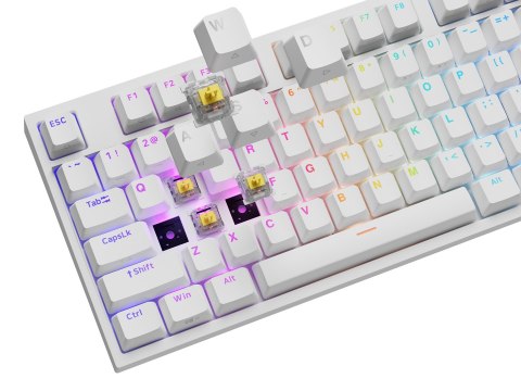 KLAWIATURA DLA GRACZY GENESIS THOR 404 US PODŚWIETLENIE RGB MECHANICZNA BIAŁA GATERON YELLOW PRO KLAWIATURA DLA GRACZY GENESIS THOR 404 US PODŚWIETLENIE RGB MECHANICZNA BIAŁA GATERON YELLOW PRO