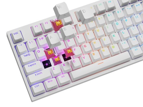 KLAWIATURA DLA GRACZY GENESIS THOR 404 US PODŚWIETLENIE RGB MECHANICZNA BIAŁA OUTEMU PEACH SILENT KLAWIATURA DLA GRACZY GENESIS THOR 404 US PODŚWIETLENIE RGB MECHANICZNA BIAŁA OUTEMU PEACH SILENT