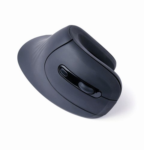 Gembird MUSW-ERGO-03 myszka Dom Po prawej stronie RF Wireless Optyczny 1600 DPI Gembird MUSW-ERGO-03 myszka Dom Po prawej stronie RF Wireless Optyczny 1600 DPI