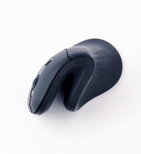 Gembird MUSW-ERGO-03 myszka Dom Po prawej stronie RF Wireless Optyczny 1600 DPI Gembird MUSW-ERGO-03 myszka Dom Po prawej stronie RF Wireless Optyczny 1600 DPI