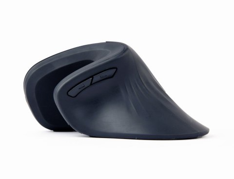 Gembird MUSW-ERGO-03 myszka Dom Po prawej stronie RF Wireless Optyczny 1600 DPI Gembird MUSW-ERGO-03 myszka Dom Po prawej stronie RF Wireless Optyczny 1600 DPI