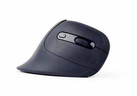 Gembird MUSW-ERGO-03 myszka Dom Po prawej stronie RF Wireless Optyczny 1600 DPI Gembird MUSW-ERGO-03 myszka Dom Po prawej stronie RF Wireless Optyczny 1600 DPI