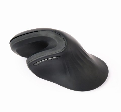 Gembird MUSW-ERGO-03 myszka Dom Po prawej stronie RF Wireless Optyczny 1600 DPI Gembird MUSW-ERGO-03 myszka Dom Po prawej stronie RF Wireless Optyczny 1600 DPI