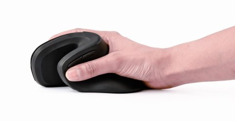 Gembird MUSW-ERGO-03 myszka Dom Po prawej stronie RF Wireless Optyczny 1600 DPI Gembird MUSW-ERGO-03 myszka Dom Po prawej stronie RF Wireless Optyczny 1600 DPI