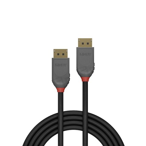 Lindy 36486 kabel DisplayPort 10 m Czarny Lindy 36486 kabel DisplayPort 10 m Czarny