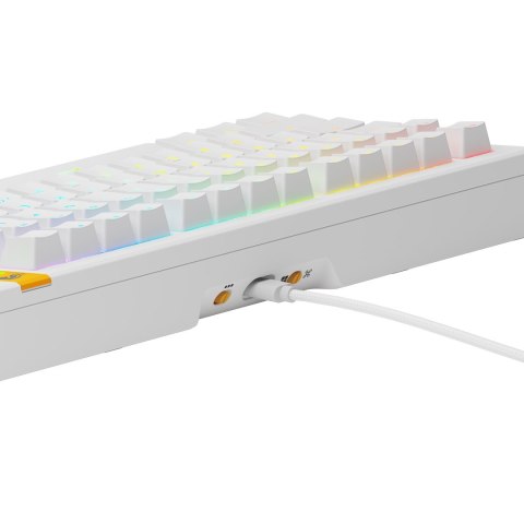 Glorious Gaming GMMK 3 HE 75% Prebuilt klawiatura USB QWERTY US English Biały