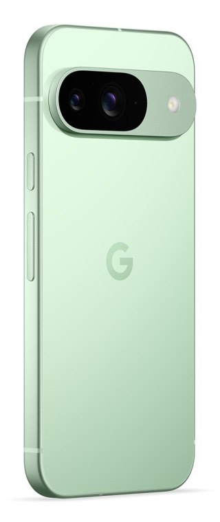 Telefon komórkowy Pixel 9 256GB/Wintergreen Google
