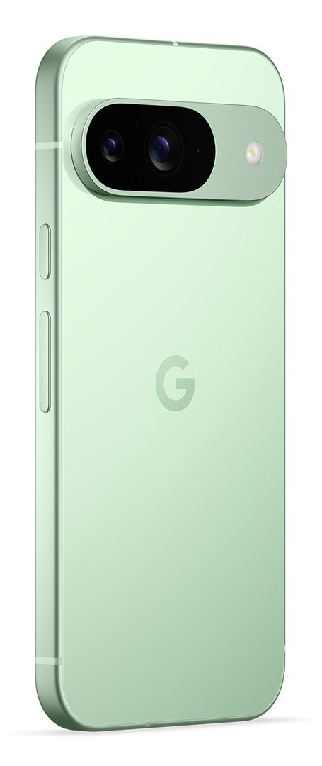 Telefon komórkowy Pixel 9 256GB/Wintergreen Google