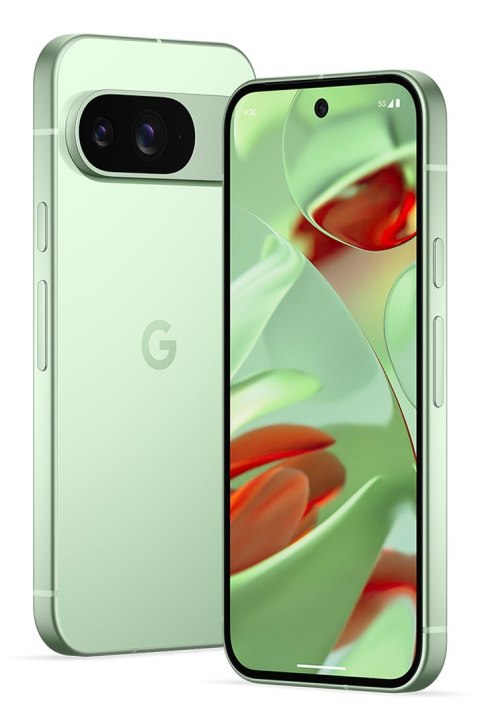 Google Pixel 9 16 cm (6.3") Dual SIM Android 14 5G USB Type-C 12 GB 128 GB 4700 mAh Zielony Google Pixel 9 16 cm (6.3") Dual SIM Android 14 5G USB Type-C 12 GB 128 GB 4700 mAh Zielony