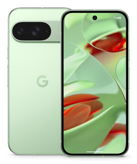 Google Pixel 9 16 cm (6.3") Dual SIM Android 14 5G USB Type-C 12 GB 128 GB 4700 mAh Zielony Google Pixel 9 16 cm (6.3") Dual SIM Android 14 5G USB Type-C 12 GB 128 GB 4700 mAh Zielony