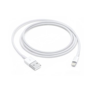 Apple Lightning auf USB (1m)