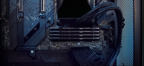 32GB DDR5-5600MT/S CL36 DIMM/EXPO (KIT OF 2) FURY BEAST BLACK