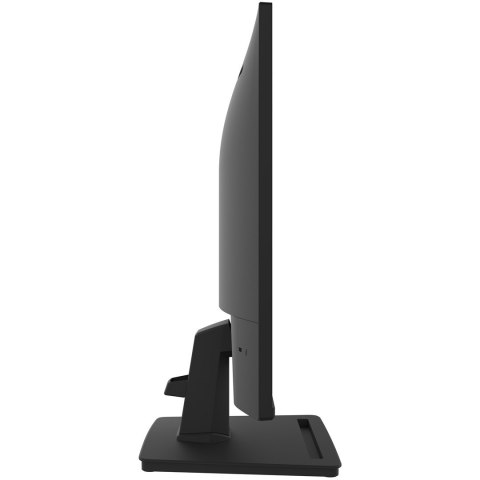 Monitor LCD 25" PRO MP252 MSI