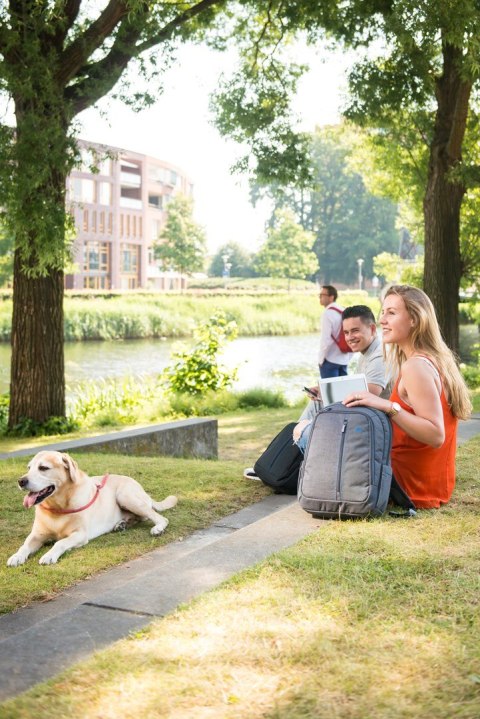 RIVACASE PLECAK NA LAPTOP 15,6" ALPENDORF, NIEBIESKI, Z MATERIAŁU WODOODPORNEGO